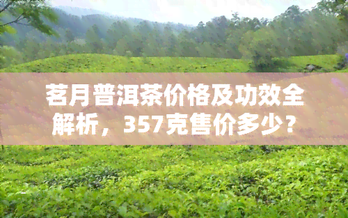 茗月普洱茶价格及功效全解析，357克售价多少？