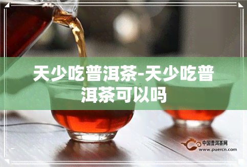 天少吃普洱茶-天少吃普洱茶可以吗