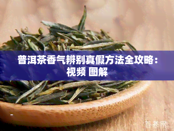 普洱茶香气辨别真假方法全攻略：视频 图解