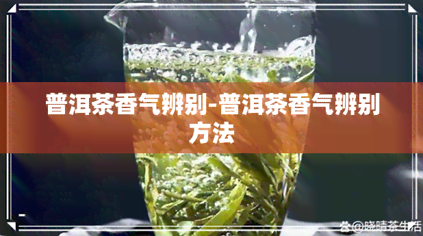 普洱茶香气辨别-普洱茶香气辨别方法