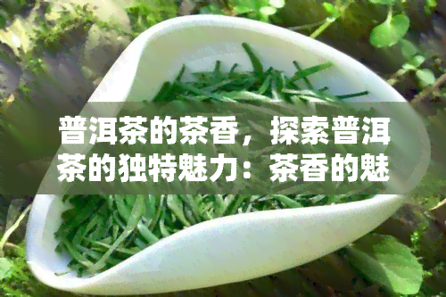 普洱茶的茶香，探索普洱茶的独特魅力：茶香的魅力所在