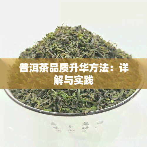 普洱茶品质升华方法：详解与实践