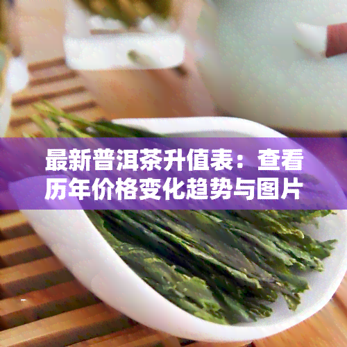 最新普洱茶升值表：查看历年价格变化趋势与图片