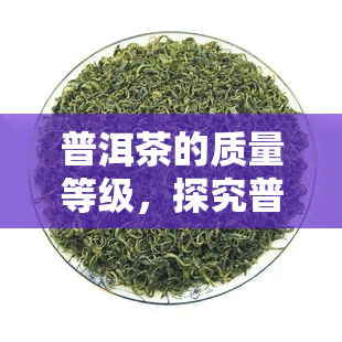 普洱茶的质量等级，探究普洱茶的品质等级：从入门到专家的全面指南