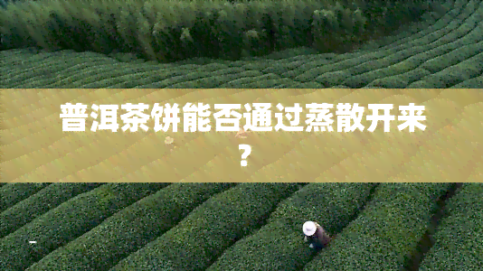 普洱茶饼能否通过蒸散开来？