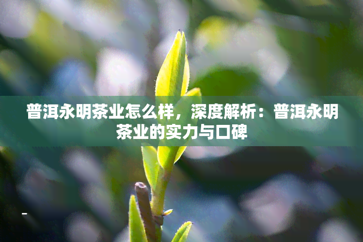 普洱永明茶业怎么样，深度解析：普洱永明茶业的实力与口碑