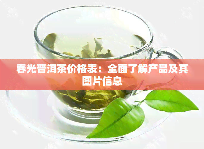 春光普洱茶价格表：全面了解产品及其图片信息