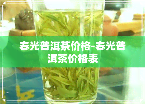 春光普洱茶价格-春光普洱茶价格表