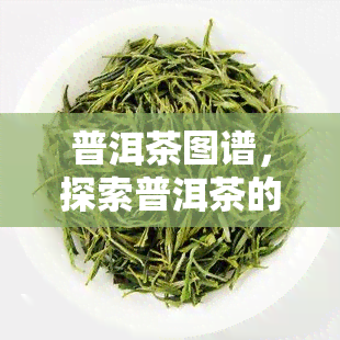 普洱茶图谱，探索普洱茶的魅力：一份全面的普洱茶图谱指南