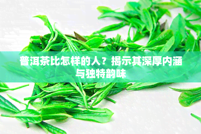 普洱茶比怎样的人？揭示其深厚内涵与独特韵味