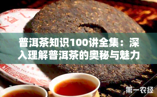 普洱茶知识100讲全集：深入理解普洱茶的奥秘与魅力