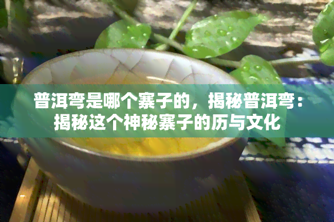 普洱弯是哪个寨子的，揭秘普洱弯：揭秘这个神秘寨子的历与文化