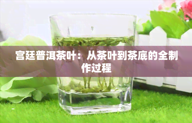 宫廷普洱茶叶：从茶叶到茶底的全制作过程