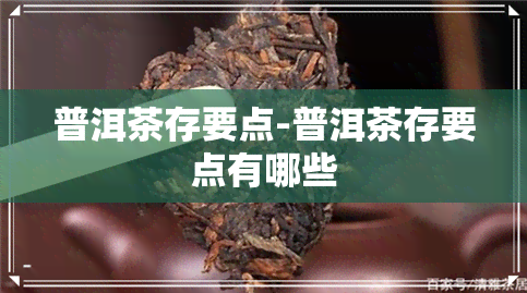 普洱茶存要点-普洱茶存要点有哪些