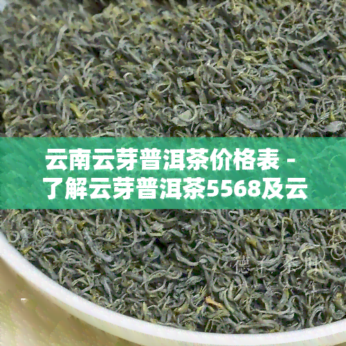 云南云芽普洱茶价格表 - 了解云芽普洱茶5568及云芽牌普洱的价格信息