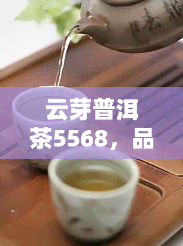 云芽普洱茶5568，品味云芽普洱，探索5568的茶香世界