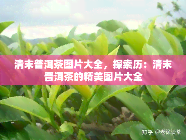 清末普洱茶图片大全，探索历：清末普洱茶的精美图片大全