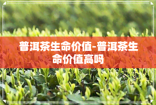 普洱茶生命价值-普洱茶生命价值高吗