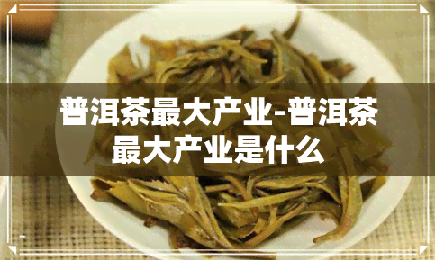 普洱茶更大产业-普洱茶更大产业是什么