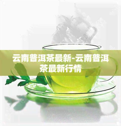 云南普洱茶最新-云南普洱茶最新行情