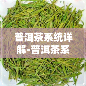 普洱茶系统详解-普洱茶系统详解图