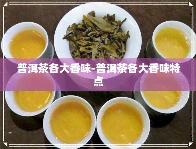 普洱茶各大香味-普洱茶各大香味特点