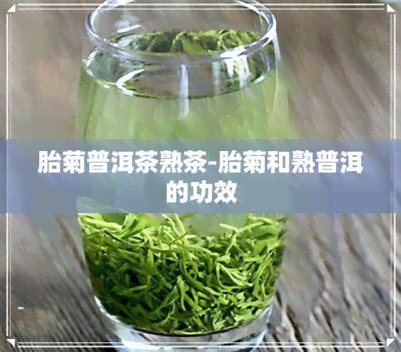 胎菊普洱茶熟茶-胎菊和熟普洱的功效