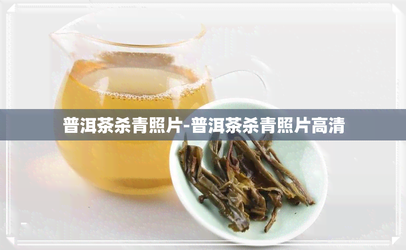 普洱茶杀青照片-普洱茶杀青照片高清