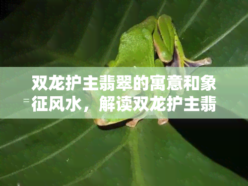 双龙护主翡翠的寓意和象征风水，解读双龙护主翡翠的寓意与风水象征意义