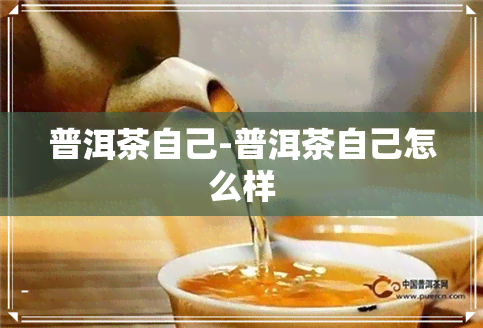 普洱茶自己-普洱茶自己怎么样