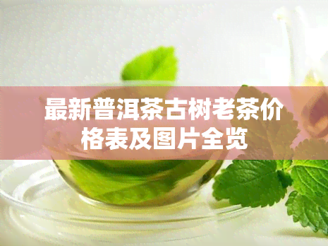 最新普洱茶古树老茶价格表及图片全览