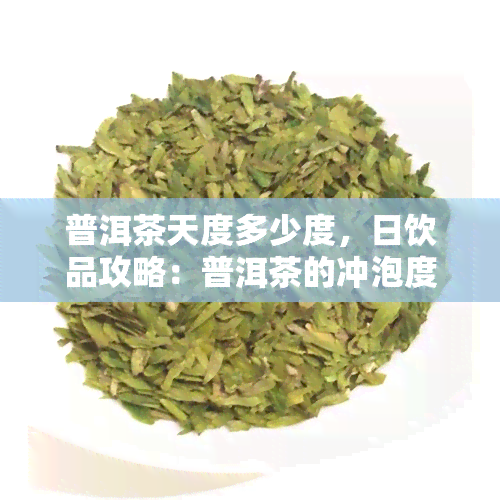 普洱茶天度多少度，日饮品攻略：普洱茶的冲泡度是多少？