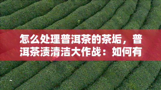 怎么处理普洱茶的茶垢，普洱茶渍清洁大作战：如何有效去除茶垢？