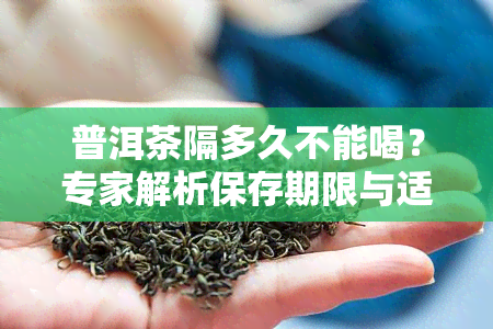 普洱茶隔多久不能喝？专家解析保存期限与适宜饮用时间