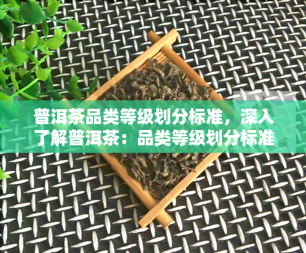 普洱茶品类等级划分标准，深入了解普洱茶：品类等级划分标准详解