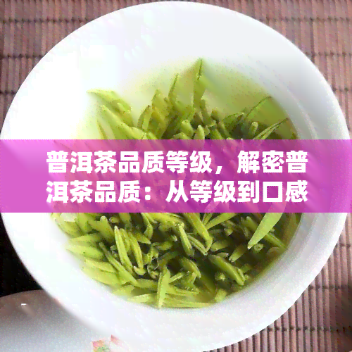 普洱茶品质等级，解密普洱茶品质：从等级到口感的全面解析