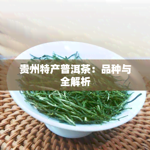 贵州特产普洱茶：品种与全解析