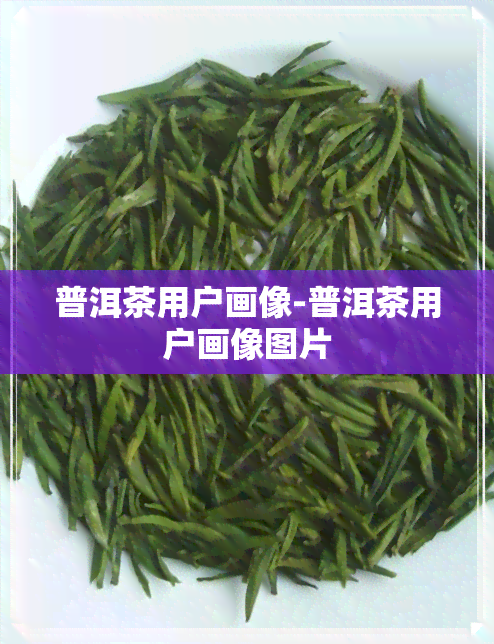 普洱茶用户画像-普洱茶用户画像图片