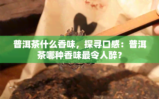 普洱茶什么香味，探寻口感：普洱茶哪种香味最令人醉？