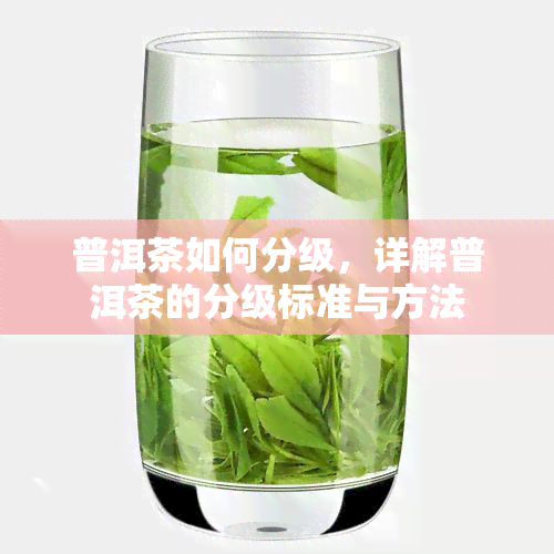 普洱茶如何分级，详解普洱茶的分级标准与方法