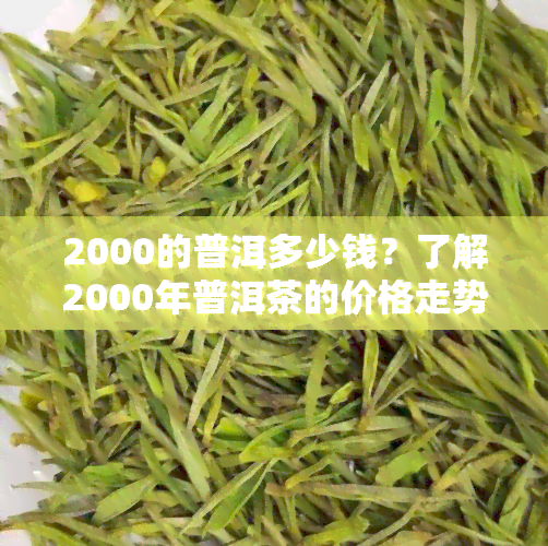 2000的普洱多少钱？了解2000年普洱茶的价格走势与价值评估