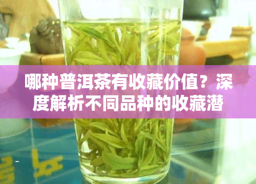 哪种普洱茶有收藏价值？深度解析不同品种的收藏潜力与价值高低