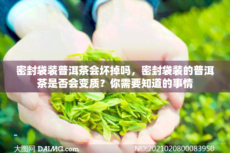 密封袋装普洱茶会坏掉吗，密封袋装的普洱茶是否会变质？你需要知道的事情