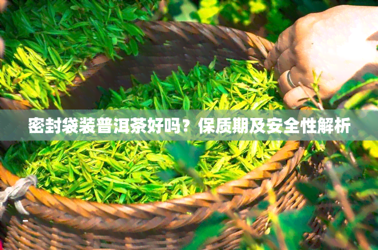 密封袋装普洱茶好吗？保质期及安全性解析