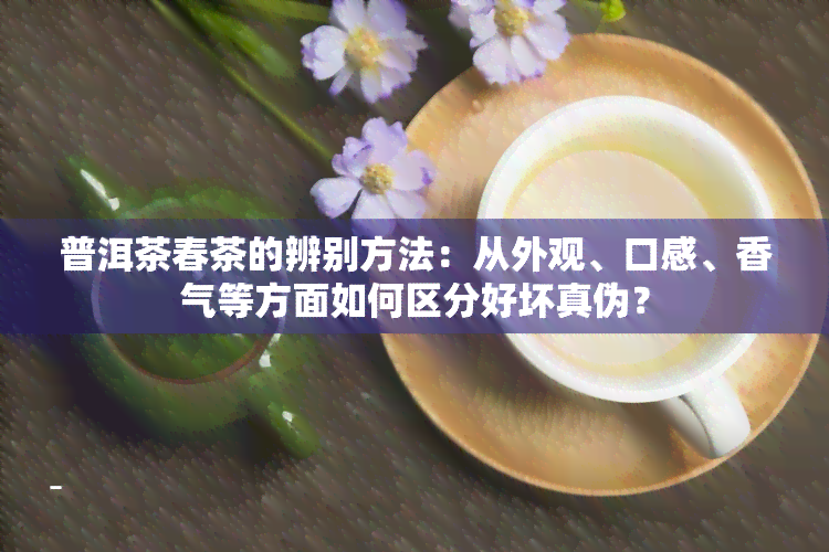 普洱茶春茶的辨别方法：从外观、口感、香气等方面如何区分好坏真伪？