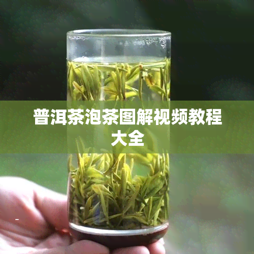 普洱茶泡茶图解视频教程大全