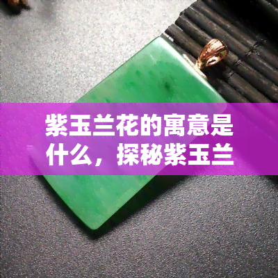 紫玉兰花的寓意是什么，探秘紫玉兰花的寓意，了解其背后的文化含义