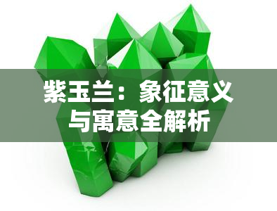 紫玉兰：象征意义与寓意全解析