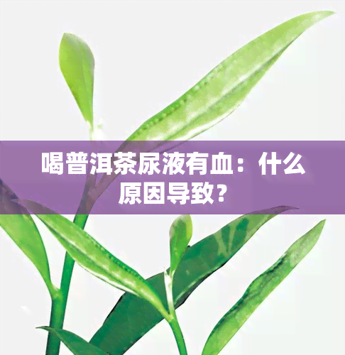 喝普洱茶尿液有血：什么原因导致？