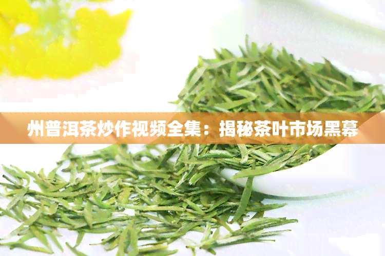 州普洱茶炒作视频全集：揭秘茶叶市场黑幕